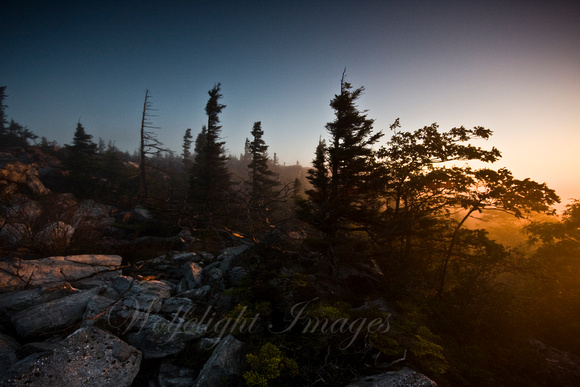 Day 3 - Sunrise at Dolly Sods