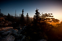 Day 3 - Sunrise at Dolly Sods